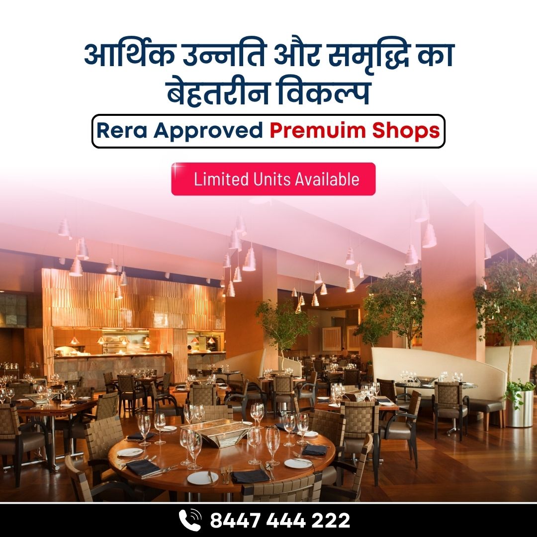 Blog(8447 444 222)